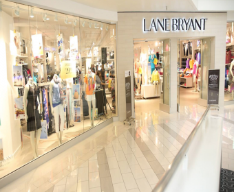 lane bryant customer service complaints department lane bryant customer service